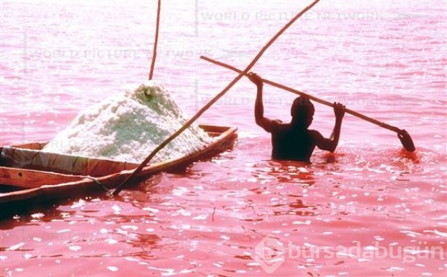 Pembe göl