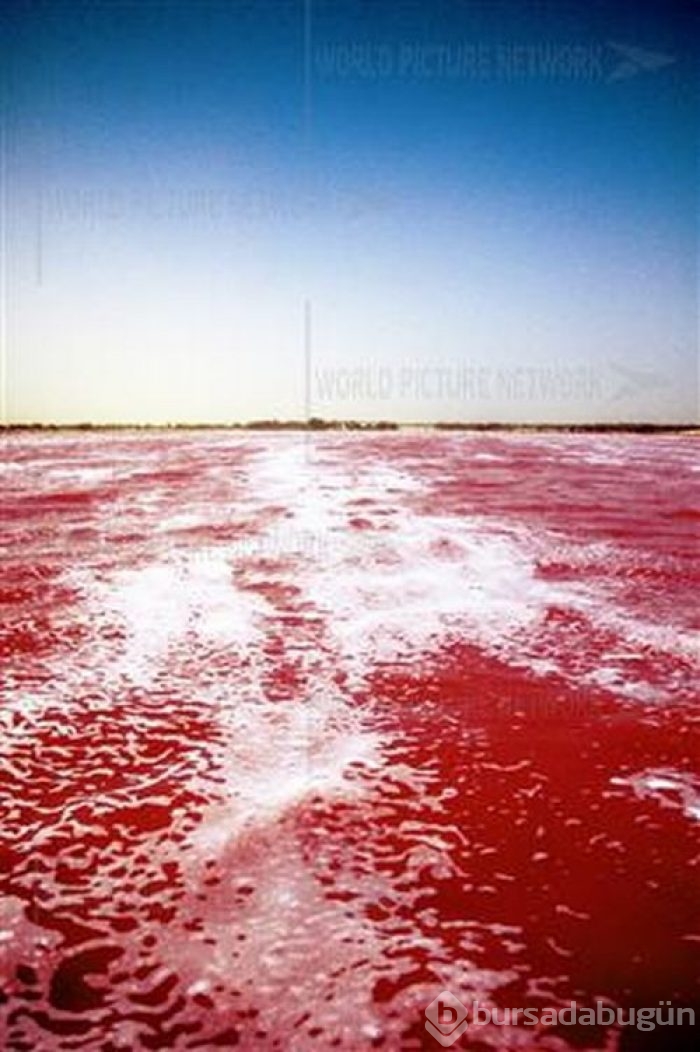 Pembe göl
