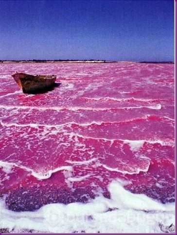 Pembe göl