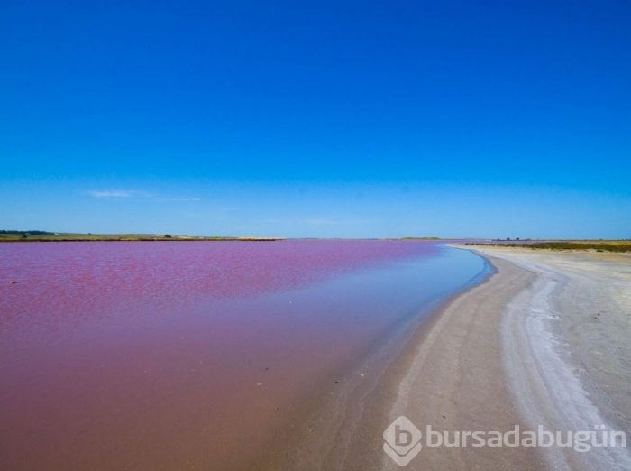 Pembe göl