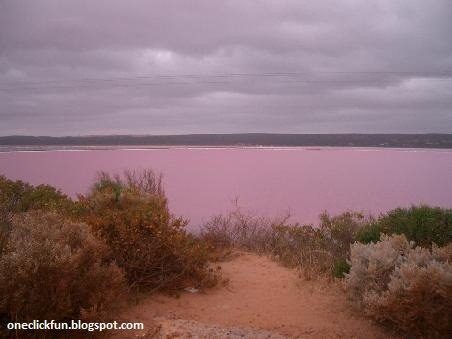 Pembe göl