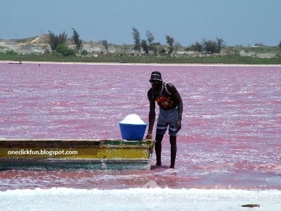 Pembe göl