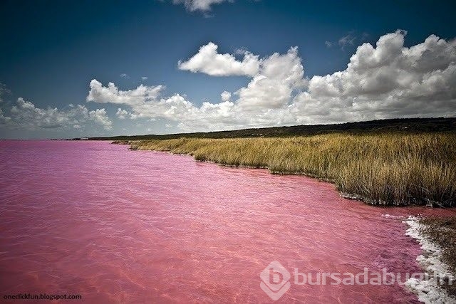 Pembe göl