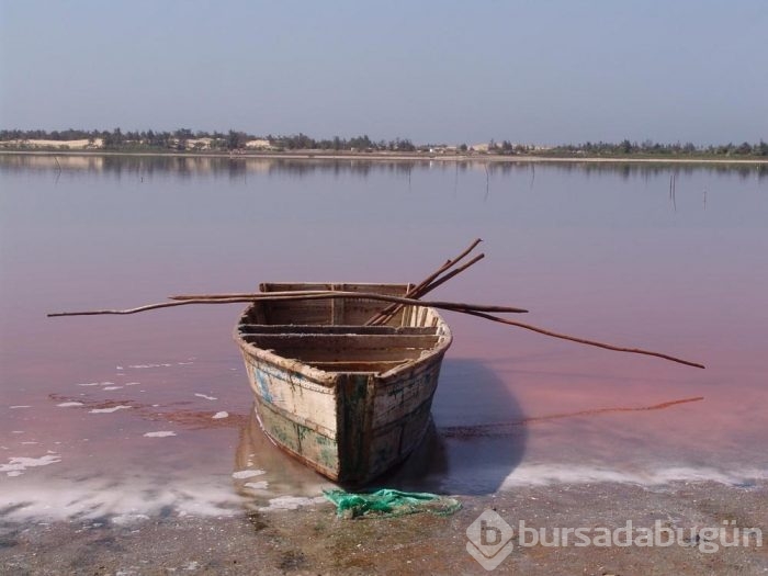 Pembe göl