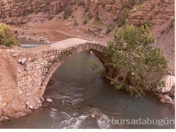 Türkiye'nin nakit zengini şehirleri
