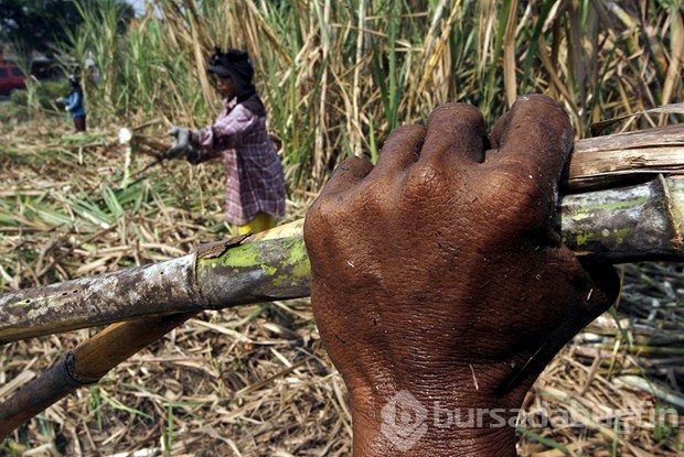 El Nino, milyonlarca Afrikalıyı tehdit ediyor