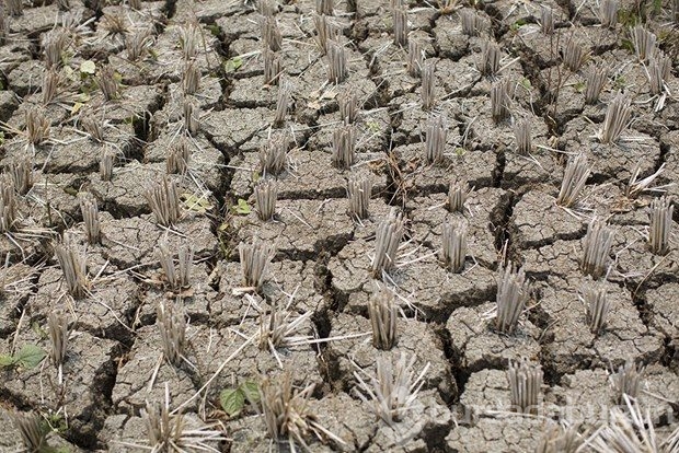 El Nino, milyonlarca Afrikalıyı tehdit ediyor