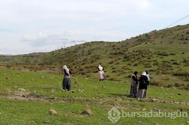 Gökte ararken Sarıçiçek Köyü'nde buldu!