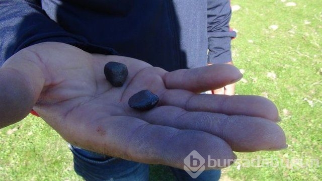 Gökte ararken Sarıçiçek Köyü'nde buldu!