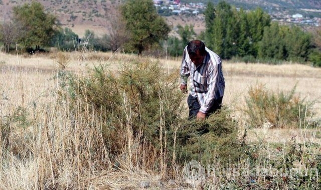 Gökte ararken Sarıçiçek Köyü'nde buldu!