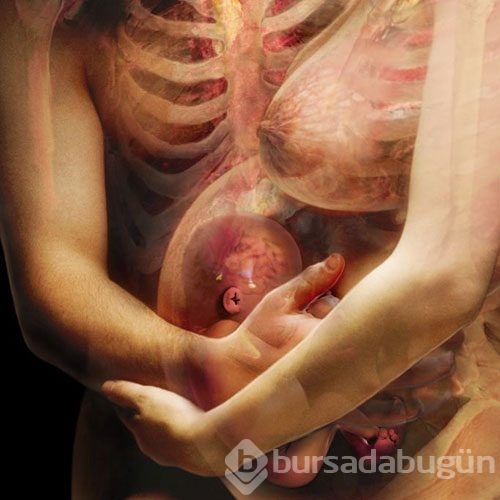 İnsan vücudunu böyle görmediniz