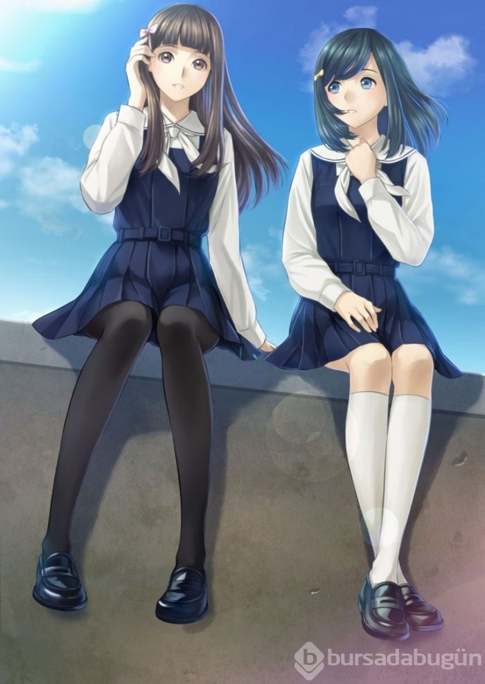 Kadokawa Games'ten iki farklı oyun