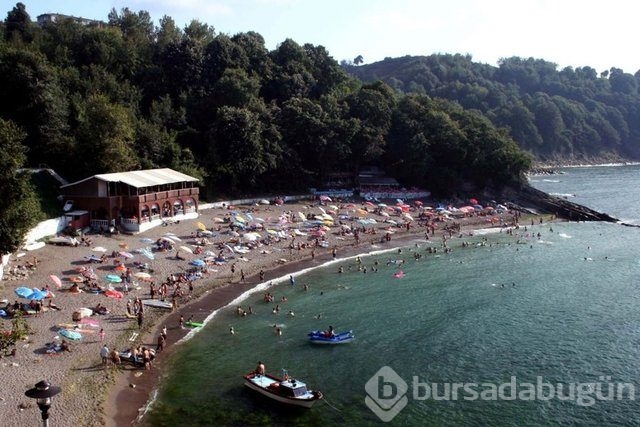 Hangi ilin ne kadar borcu var? 