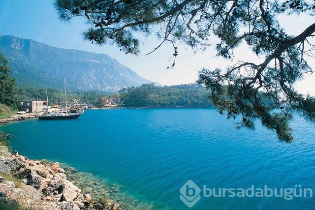 Hangi ilin ne kadar borcu var? 