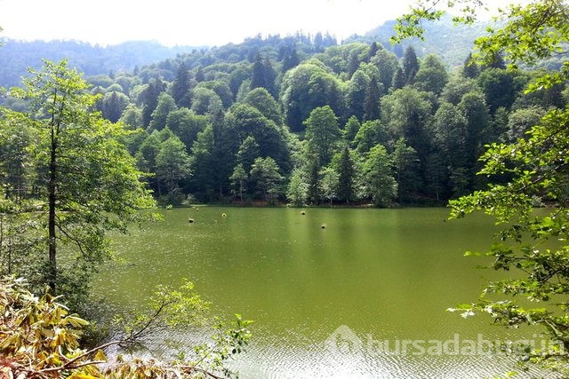 Hangi ilin ne kadar borcu var? 