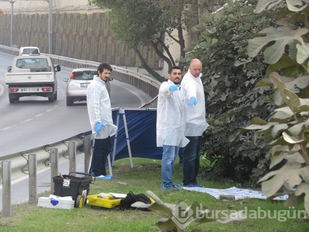 Kadıköy'de ağaç altında ceset
