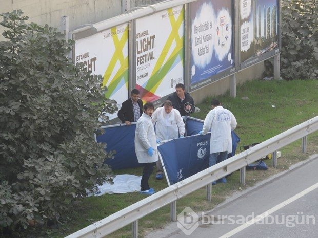 Kadıköy'de ağaç altında ceset