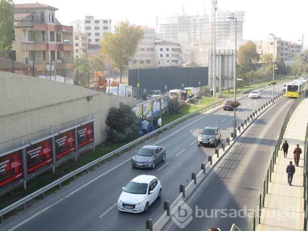 Kadıköy'de ağaç altında ceset