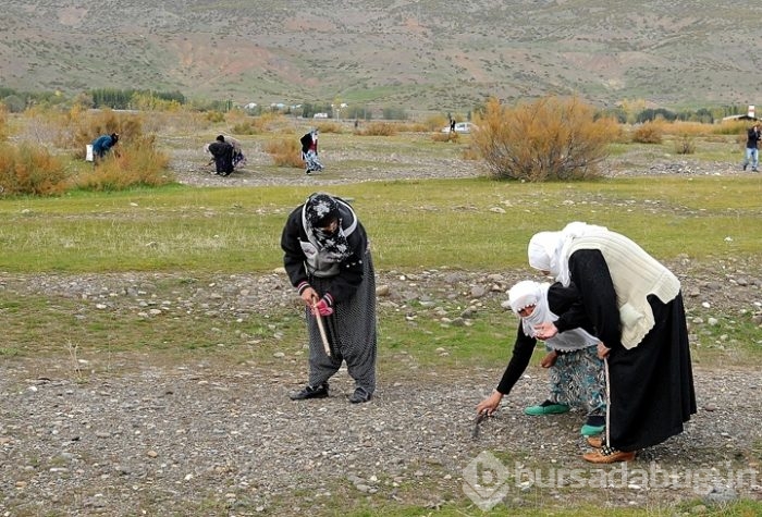 Bir taşla araba aldı!