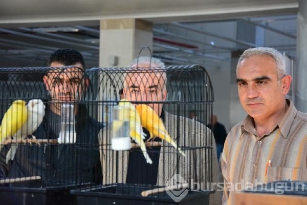 Bursa'da en güzel kuşlar seçiliyor
