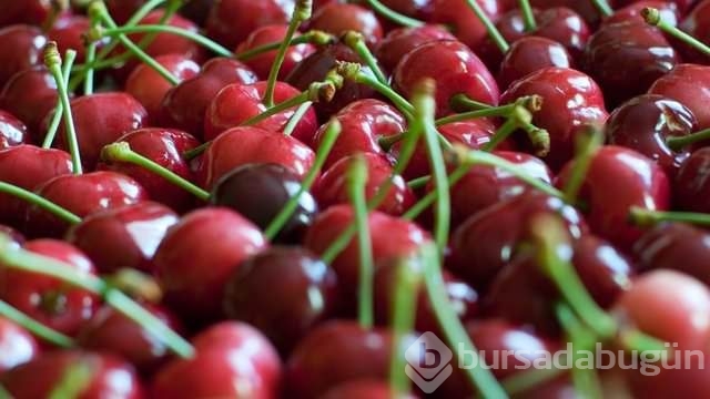Bu yiyecekler hastalıklardan koruyor!
