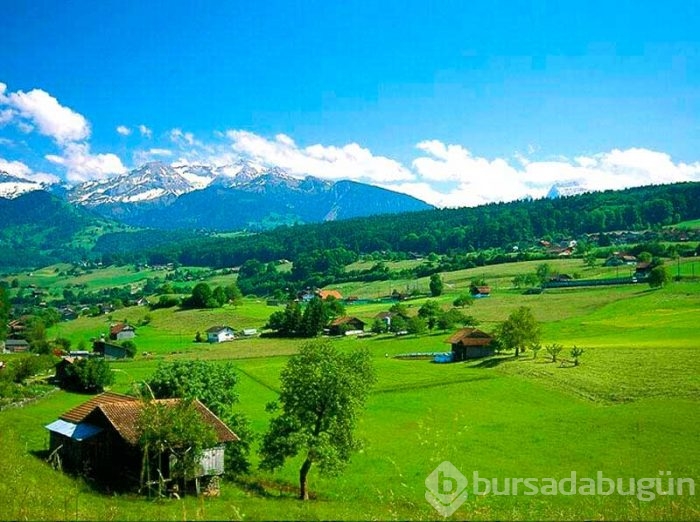 5 büyük şehirde en çok hangi şehirden insan yaşıyor