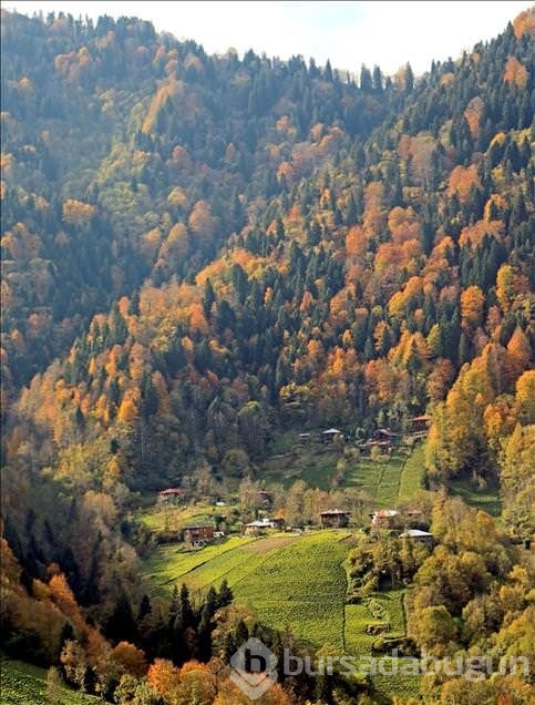 Fırtına Vadisi'nde sonbahar