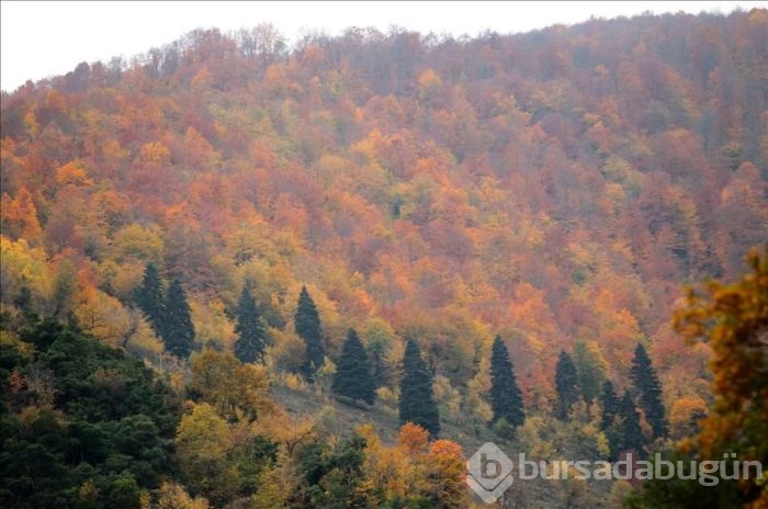 Samsun'da sonbahar