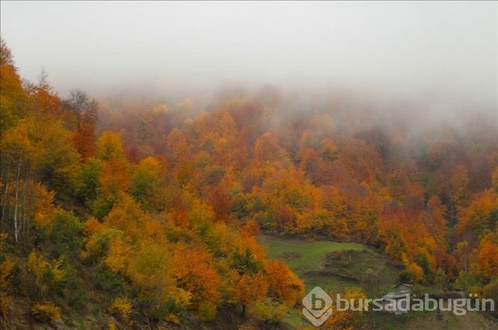 Samsun'da sonbahar