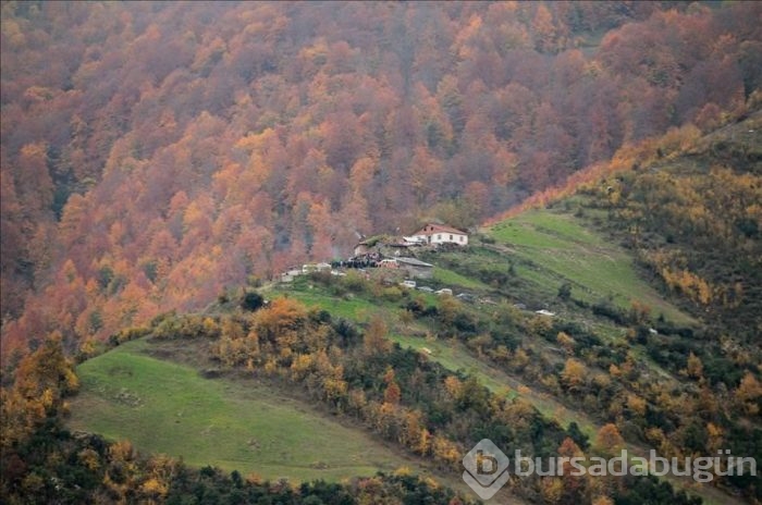 Samsun'da sonbahar