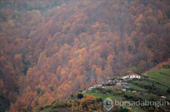 Samsun'da sonbahar