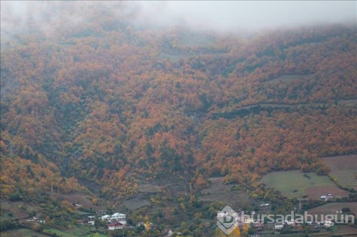 Samsun'da sonbahar