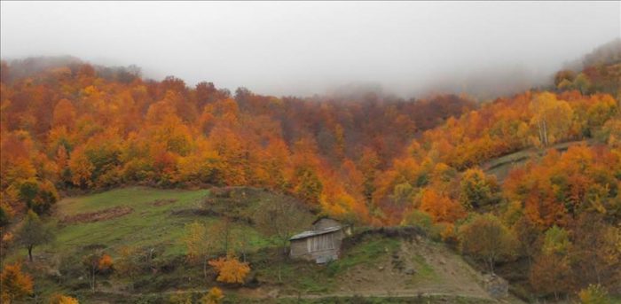Samsun'da sonbahar
