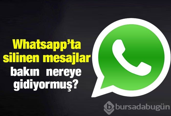 Silinen Whatsapp mesajlarını nasıl okursunuz?