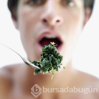 Burca göre beslenme