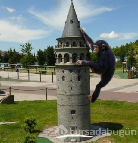 Ya o filmleri Türkler çekseydi?