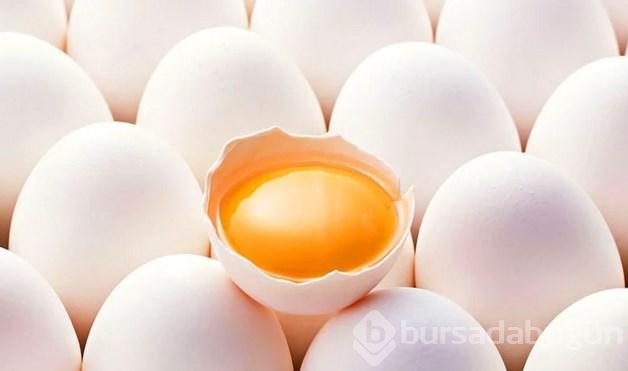 Diyette yenmesi ve yenmemesi gereken yiyecekler