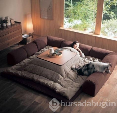 Japonya'nın çılgın mucidi