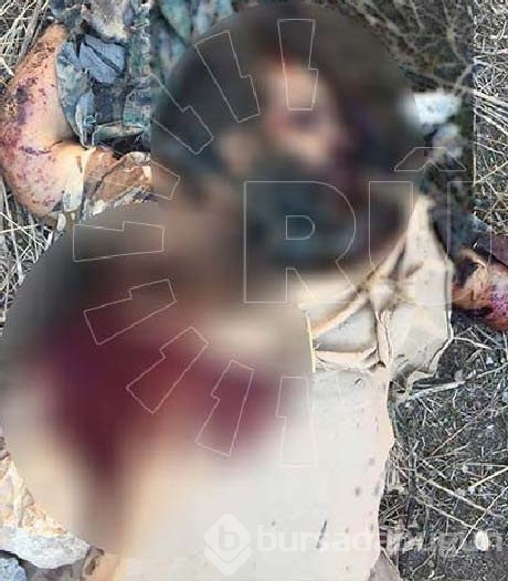 Şengal cesetten geçilmiyor (+18)