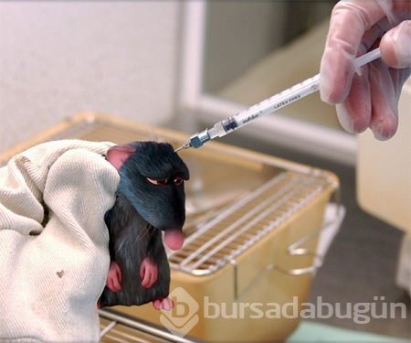 Hayatın gerçekleri karşısında masal karakterleri