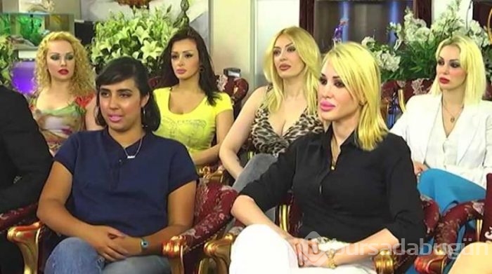 Adnan Oktar'ın kedicikleri Amerikalı muhabiri yaptıklarıyla çıldırttılar