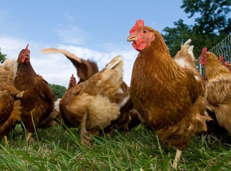 9 adımda vücudunuzu yenileyin