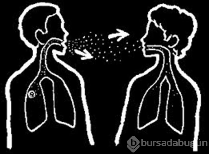 Bulaşıcı hastalıklar