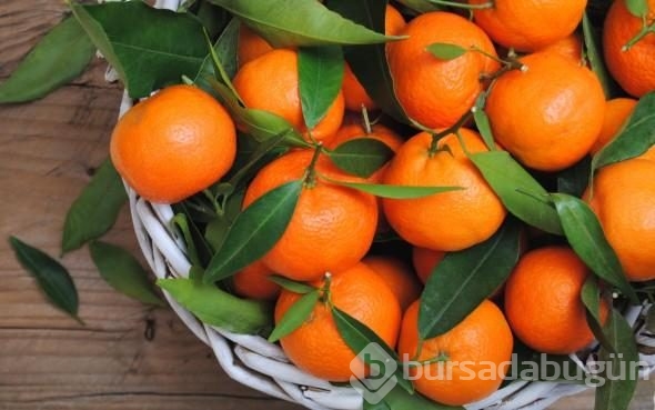 Saça, cilde, uykusuzluğa mandalina!