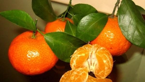 Saça, cilde, uykusuzluğa mandalina!