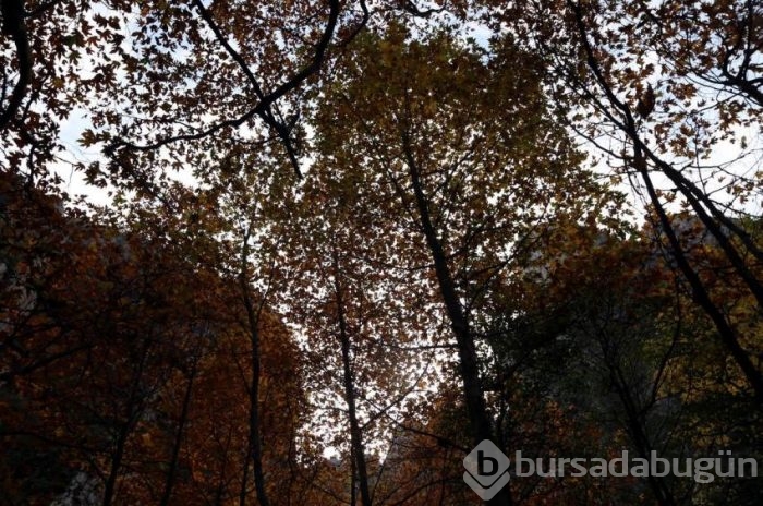 Bursa'da büyüleyen sonbahar görüntüleri