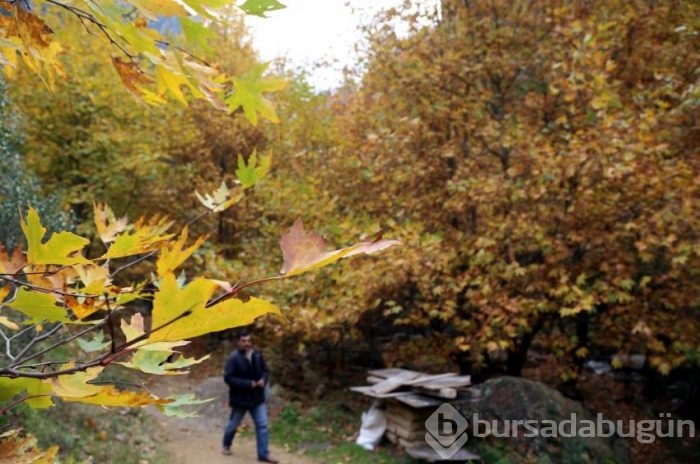Bursa'da büyüleyen sonbahar görüntüleri