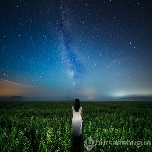 2015 yılının en seçkin fotoğrafları