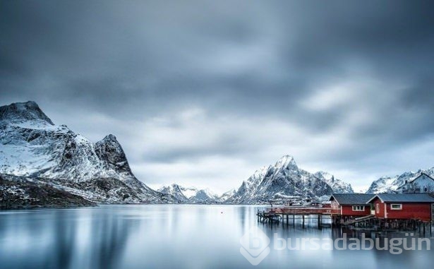 2015 yılının en seçkin fotoğrafları