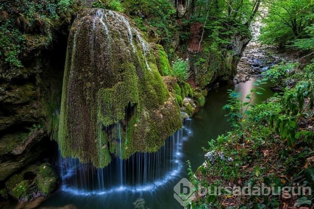 2015 yılının en seçkin fotoğrafları